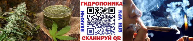 Еда ТГК конопля Вичуга