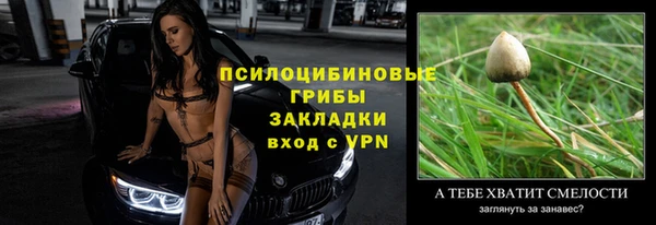 твердый Бородино