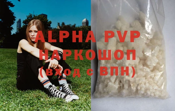твердый Бородино