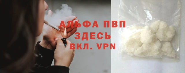 твердый Бородино