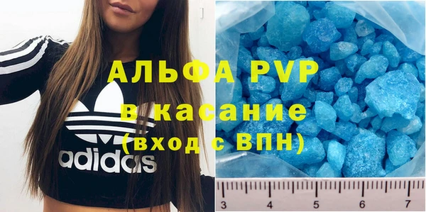 твердый Бородино