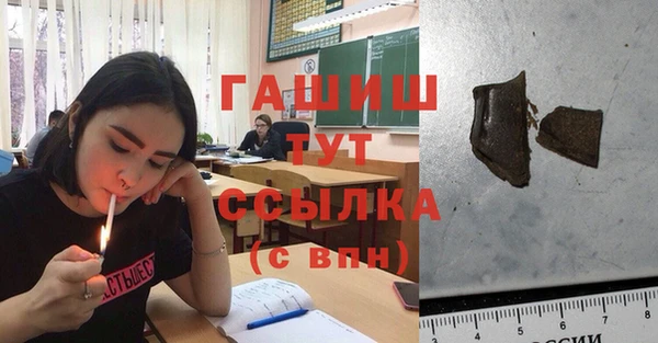 твердый Бородино