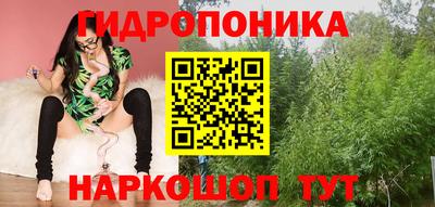 дживик Моздок
