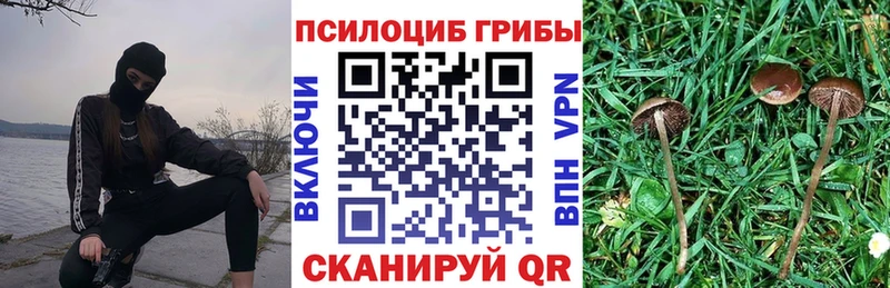 Галлюциногенные грибы GOLDEN TEACHER  где найти наркотики  Вичуга 