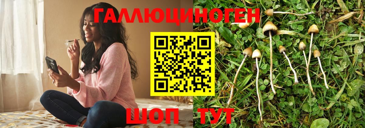 Псилоцибиновые грибы Psilocybine cubensis  Вход с VPN  наркотики  Вичуга 