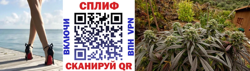 Бошки марихуана MAZAR Вичуга